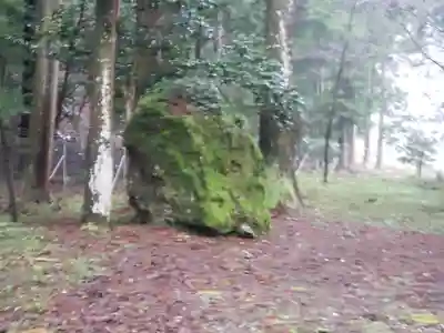 調宮神社の自然