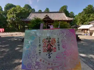見開き切り抜き御朱印です。