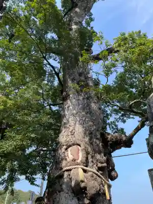 與田寺(香川県)