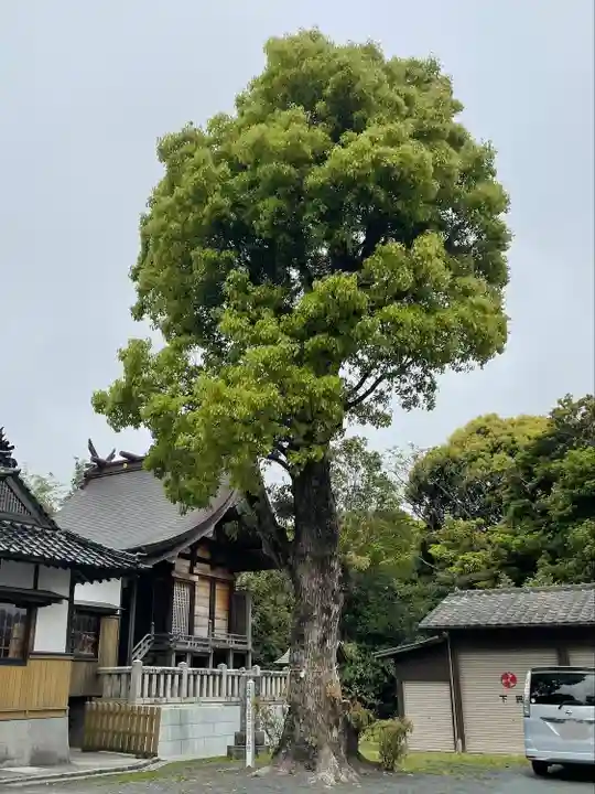 荘八幡神社の自然