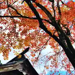 土津神社｜こどもと出世の神さまの自然