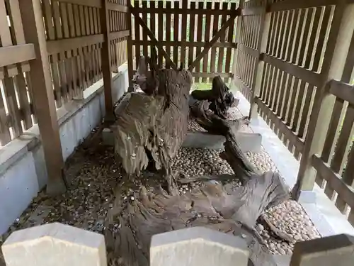 自凝島神社(兵庫県)