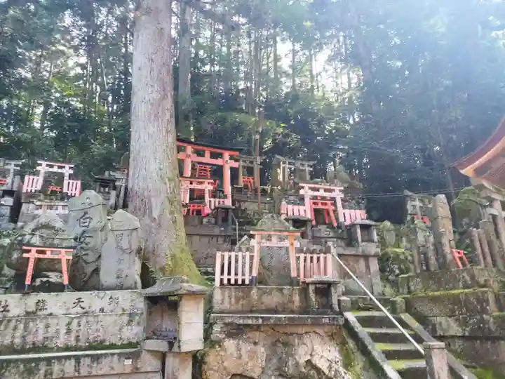 伏見稲荷大社(京都府)