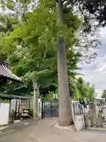 医王寺(埼玉県)