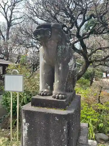 布多天神社の狛犬