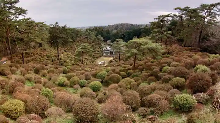 塩船観音寺の自然