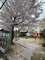 中西宮地嶽神社のその他建物