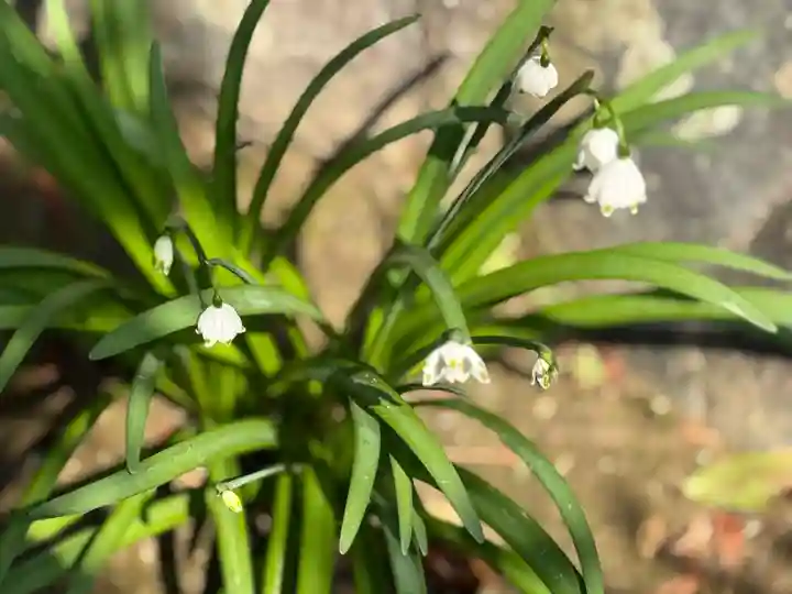 西方山極楽寺(岐阜県)