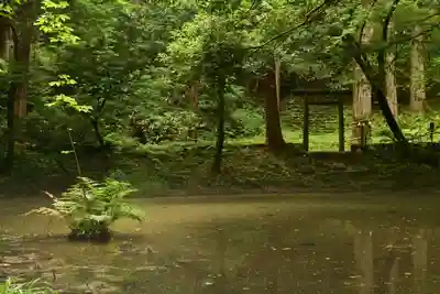 平泉寺白山神社(福井県)