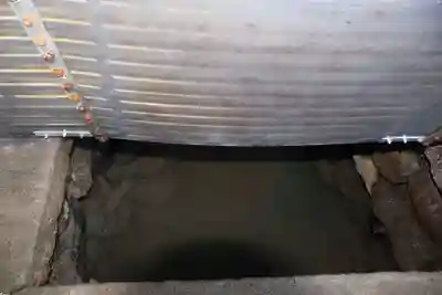 宇佐神宮(大分県)