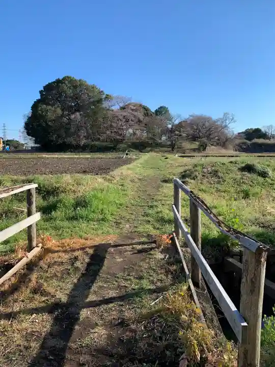 慈恩寺(埼玉県)