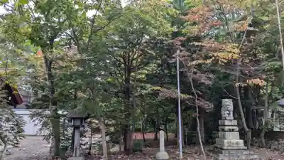 遠軽神社の自然