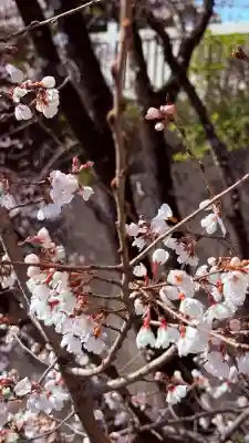 成田山名古屋別院大聖寺(犬山成田山)の{uncategorized: "未分類", other: "その他", undefined: "問題あり", building: "その他建物", grave: "お墓", sacred_gate: "鳥居", guardian: "狛犬", statue: "像", buddha: "仏像", history: "歴史", nature: "自然", garden: "庭園", animal: "動物", pagoda: "塔", temizu: "手水舎", mountain_gate: "山門・神門", sanctuary: "本殿・本堂", subordinate: "末社・摂社", art: "芸術", scenery: "景色", jizo: "地蔵", ema: "絵馬", goshuin: "御朱印", omikuji: "おみくじ", items: "授与品その他", amulet: "お守り", goshuincho: "御朱印帳", eats: "食事", festival: "お祭り", votive_dance: "神楽", shichigosan: "七五三参", wedding: "結婚式", experience: "体験その他", initially: "初詣", around: "周辺", anti_infection: "感染症対策"}
