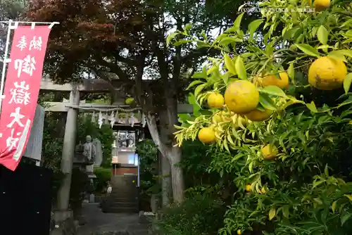 横浜御嶽神社(神奈川県)