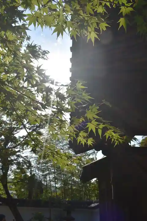 修禅寺のその他建物