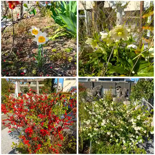 高田氷川神社(東京都)