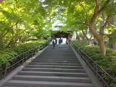 円覚寺(神奈川県)
