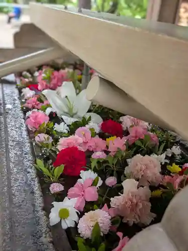 鳩森八幡神社(東京都)