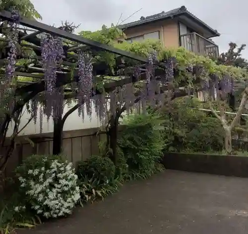 西方山極楽寺(岐阜県)