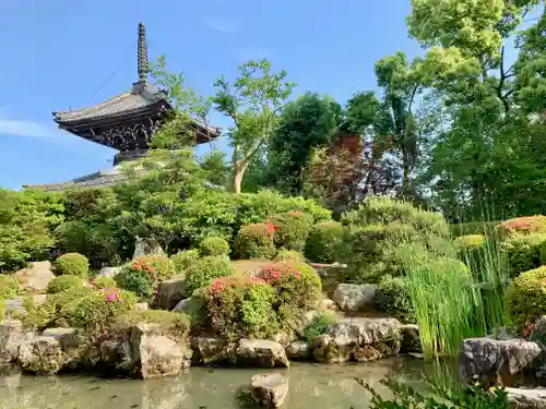 穴太寺の庭園