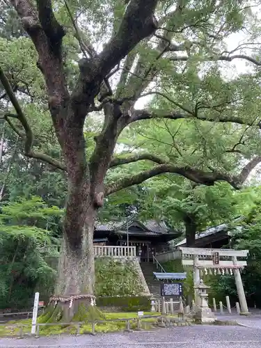 事任八幡宮の景色