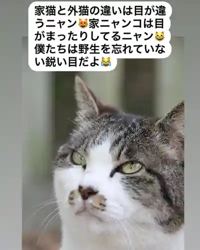 専念寺(大阪府)