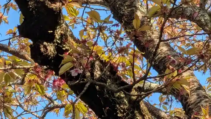 地蔵院(愛媛県)
