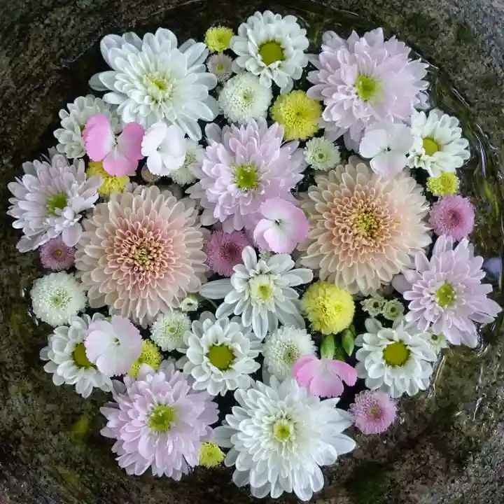 帯廣神社の手水舎