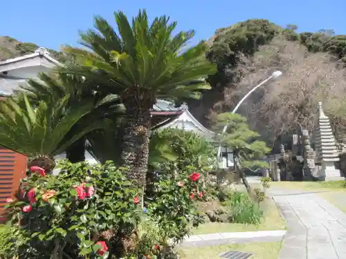 大寳寺の景色