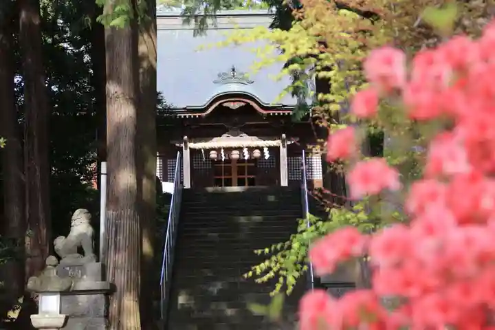 豊景神社の景色