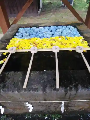 土津神社｜こどもと出世の神さまの手水