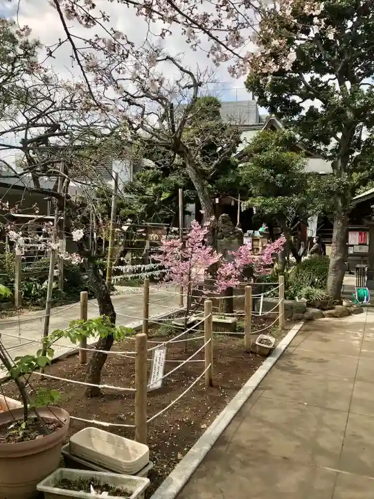 鳩森八幡神社(東京都)