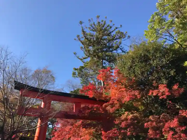 賀茂御祖神社(下鴨神社)の鳥居