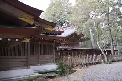 大麻比古神社(徳島県)