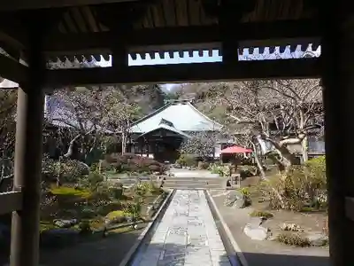 海蔵寺の山門・神門