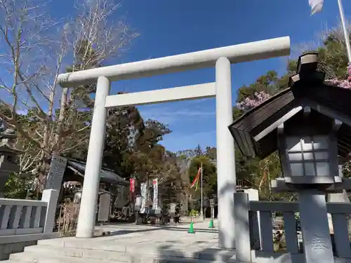 天津神明宮の鳥居