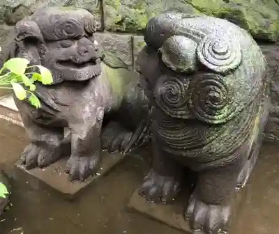 麻布氷川神社の狛犬