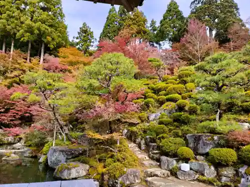 百済寺の庭園