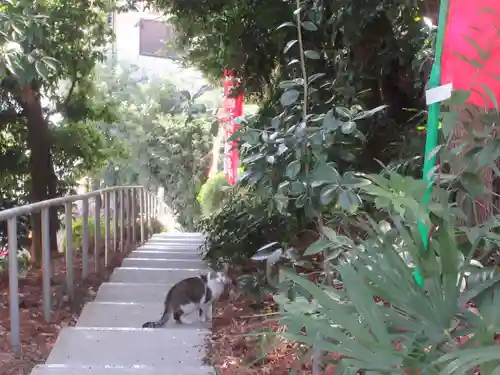 福泉寺(神奈川県)
