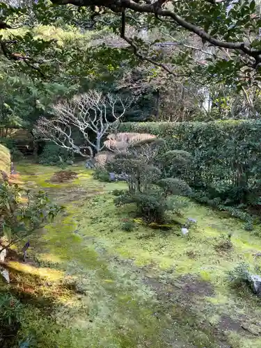 桂春院(京都府)