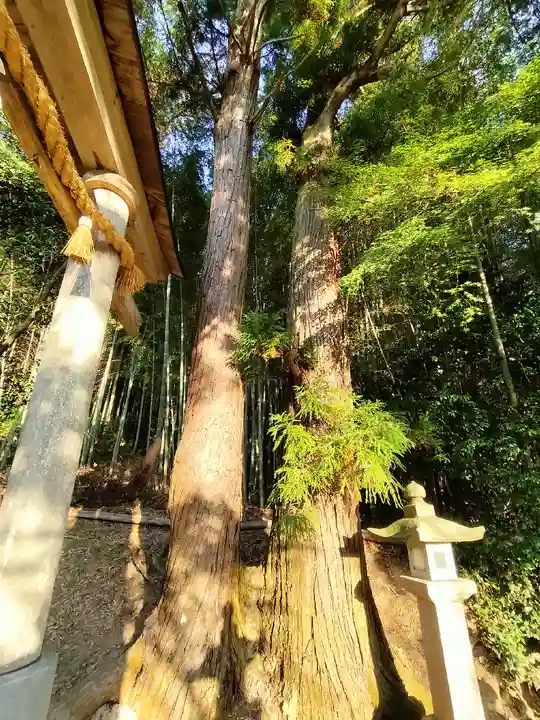 質美八幡宮(京都府)