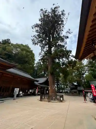 穂高神社本宮(長野県)