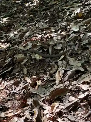 砥鹿神社（奥宮）(愛知県)