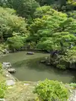 慈照寺(慈照禅寺・銀閣寺)の庭園