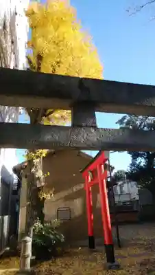 五郎久保稲荷神社の鳥居