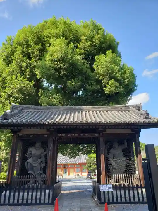 宝仙寺の山門・神門