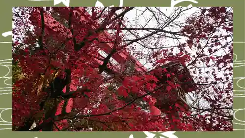 冠稲荷神社(群馬県)