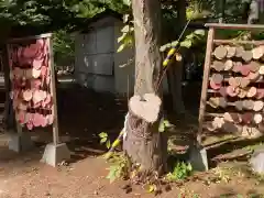 大谷地神社の自然