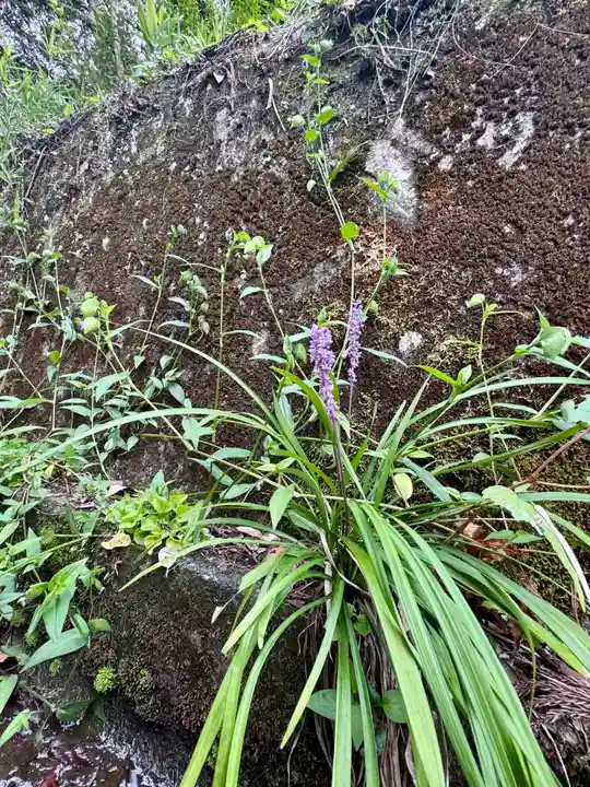 彌美神社(福井県)