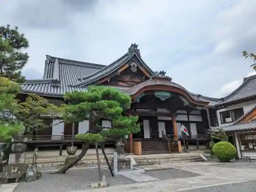 清浄華院の本殿・本堂